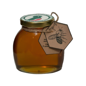 Miel CESMACH