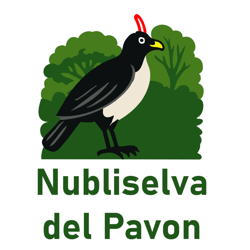 Nubliselva del pavón